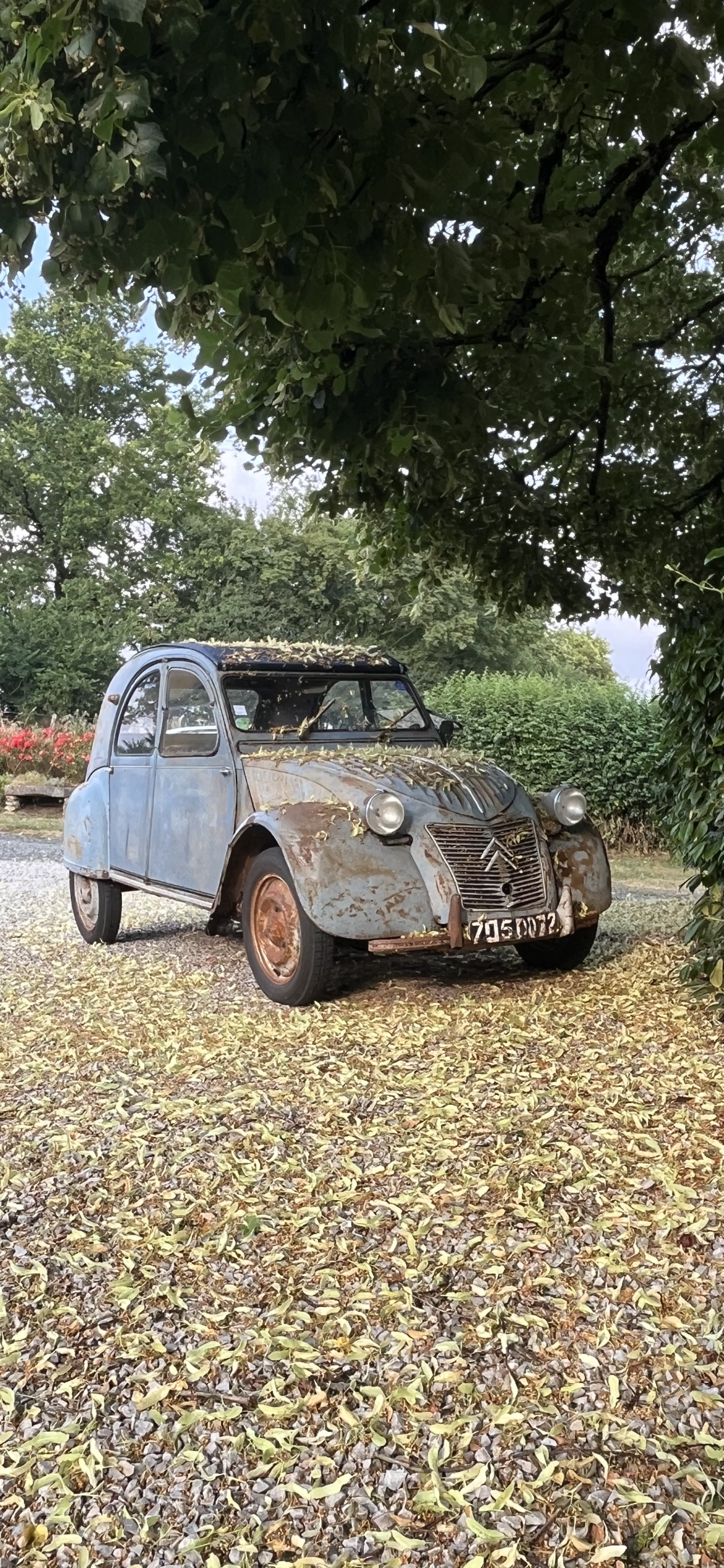 2CV